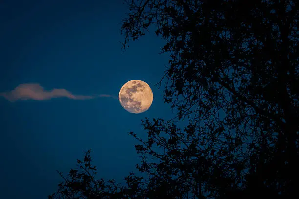 La Luna llena de octubre podrá observarse a simple vista en México, siempre que las condiciones del clima lo permitan./ Pixabay