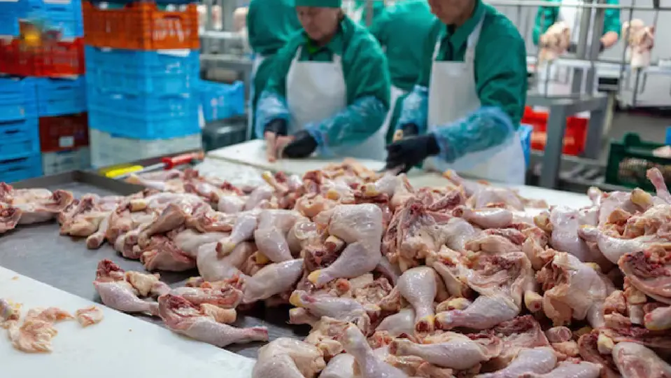 La Secretaría de Agricultura aseguró este martes que el abasto se encuentra garantizado / Magnific