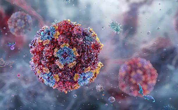 El norovirus es una de las posibles causas de los malestares gastrointestinales, aunque su presencia en el avión no ha sido confirmada./ Pixabay