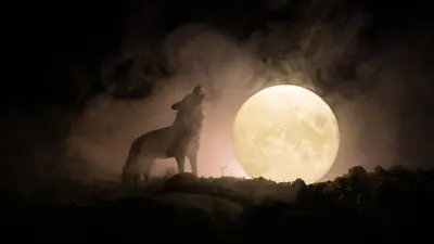 ¿A qué hora ver la Luna del Cazador 2026 en México? Fecha y horario de la Luna llena de octubre
