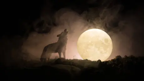 ¿A qué hora ver la Luna del Cazador 2026 en México? Fecha y horario de la Luna llena de octubre