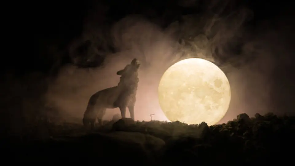 ¿A qué hora ver la Luna del Cazador 2026 en México? Fecha y horario de la Luna llena de octubre