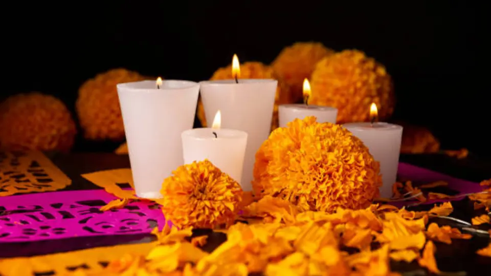 El cempasúchil es una de las flores más representativas de las celebraciones de Día de Muertos en México. / iStock