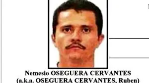 La mandataria reiteró que se trabaja todos los días por la paz y la seguridad del país./ DEA