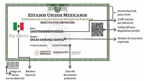 Verificar tu CURP en línea es el primer paso para detectar errores o saber si está certificada./ RS