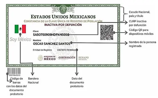 Verificar tu CURP en línea es el primer paso para detectar errores o saber si está certificada./ RS