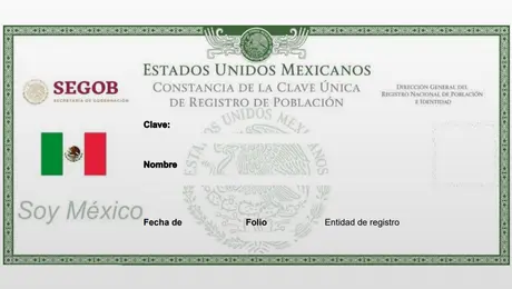 ¿Tu CURP no está certificada? Paso a paso para corregirla en 2026