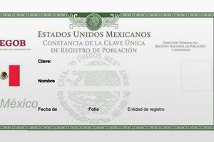 ¿Tu CURP no está certificada? Paso a paso para corregirla en 2026