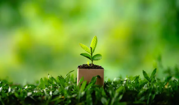 Cada 22 de abril, millones de personas conmemoran el Día de la Tierra en todo el mundo./ Pixabay