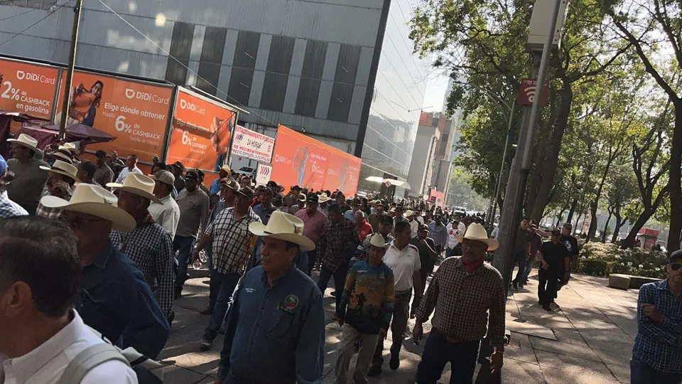 En días pasados, organizaciones campesinas marcharon para exigir mejores condiciones / Especial