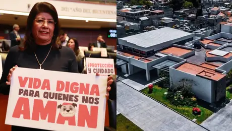 Exhiben casa de 36 millones de senadora de Morena que no apareció en su declaración
