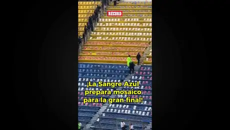 La Sangre Azul prepara un mosaico para recibir al equipo en el Ciudad de los Deportes