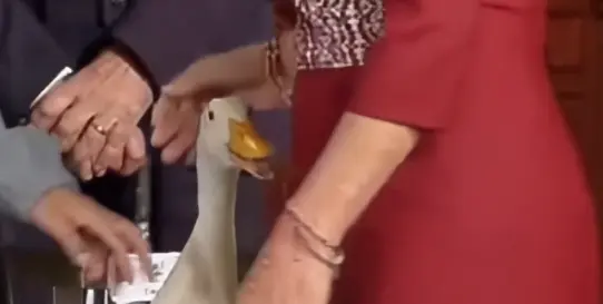 Pato Merlín abrió el pico l CAPTURA