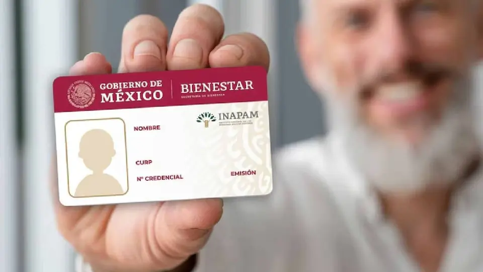 La credencial del INAPAM es uno de los documentos indispensables para acceder al descuento en la licencia de conducir./ RS