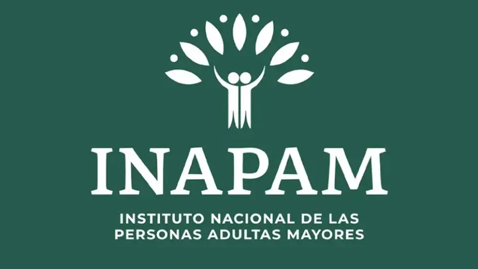 Algunas entidades aplican el beneficio tanto en la expedición como en la renovación, reposición o refrendo de la licencia de conducir.