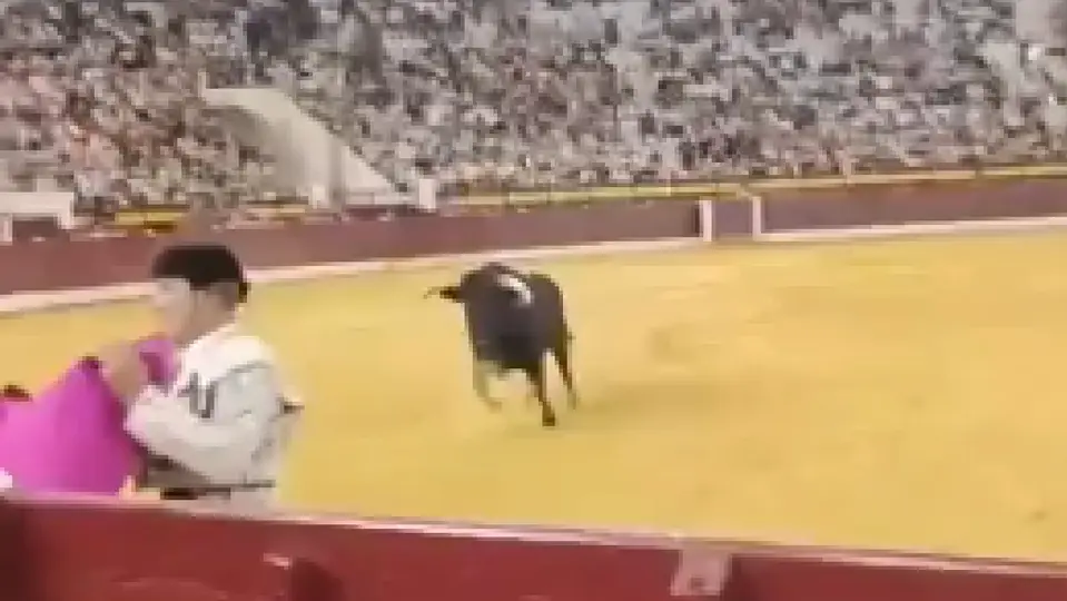 Toro persigue a torero durante corrida en Murcia | CAPTURA DE PANTALLA