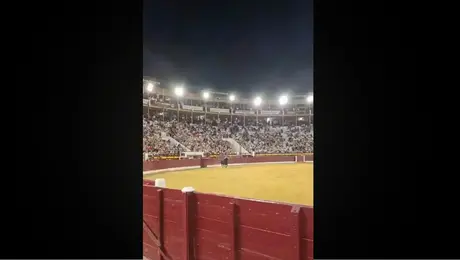 Toro desata pánico en corrida