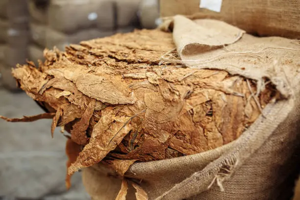 El cargamento decomisado equivale a unas 650 mil cajetillas de cigarros./@pixabay