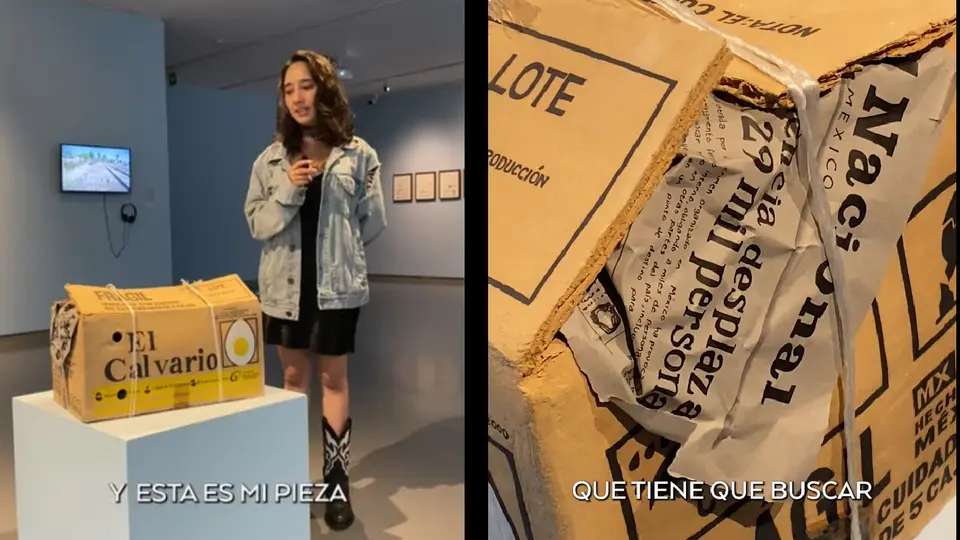 ¿Por qué una caja de huevo ganó un premio de arte? Esta es la historia de “Foráneo” / VIDEO