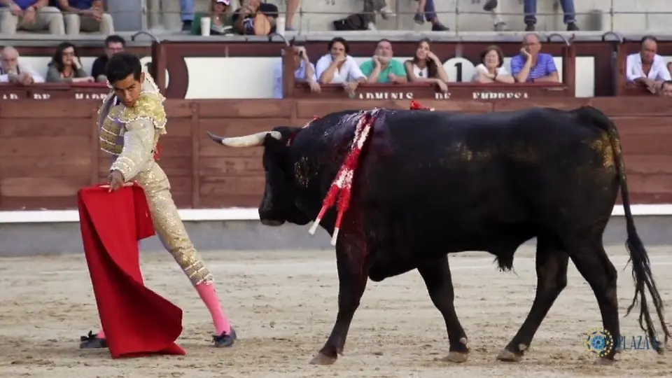 Alejandro Adame dio la única vuelta en la novillada concurso de Madrid