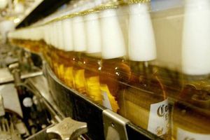 Profeco: Dio a conocer las cervezas en México con menos calorías