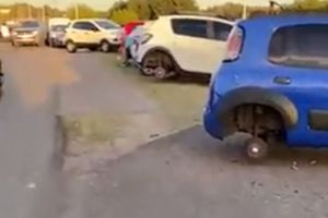 Argentina: Reportaron robo de llantas durante festejos de la Albiceleste por la Copa del Mundo