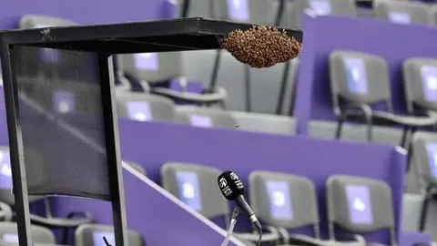 Abierto de Guadalajara: Juego se retrasó debido a la presencia de un panal de abejas