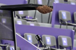 Abierto de Guadalajara: Juego se retrasó debido a la presencia de un panal de abejas