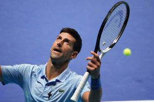 Novak Djokovic ‘bautizó’ a una especie de insecto descubierta en Serbia