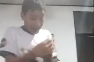 Qatar 2022: Niño tiene explosiva reacción al ver la estampa de Messi para su álbum