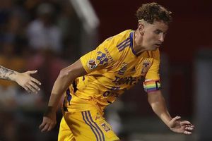 Tigres: Igor Lichnosvky llevó comida a personas que trabajan en cruceros
