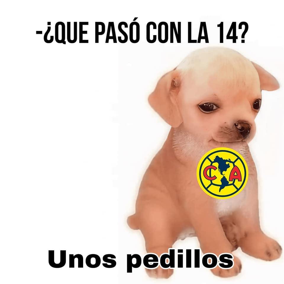 Diviértete con los mejores memes que dejó la eliminación de América ante Toluca en 'Semis'