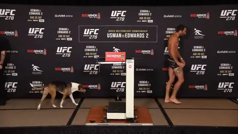 UFC: Luke Rockhold se subió al pesaje con su perro y se hace viral