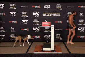 UFC: Luke Rockhold se subió al pesaje con su perro y se hace viral