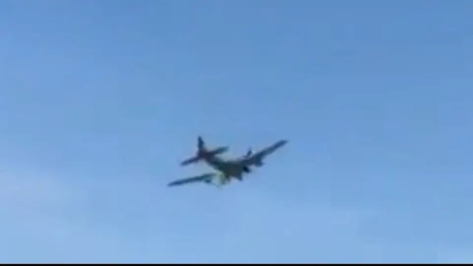 Avionetas provocaron horroroso accidente durante show aéreo en Dallas
