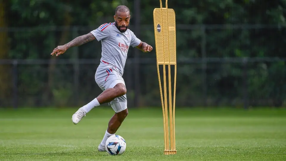 Olympique de Lyon: Jugadores del equipo fueron atacados por unas abejas