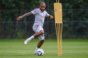 Olympique de Lyon: Jugadores del equipo fueron atacados por unas abejas