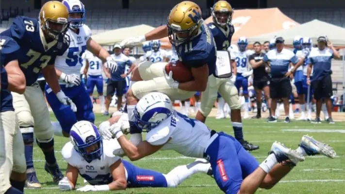 Borregos busca recuperar la corona en ONEFA