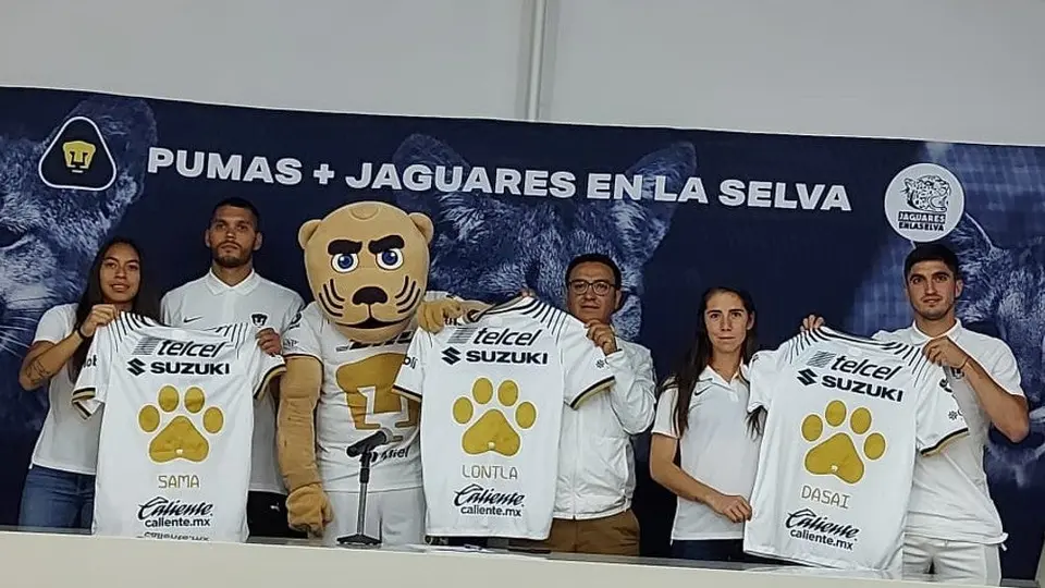 Pumas: Club universitario se sumó al proceso de recuperación de tres felinos rescatados