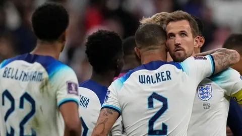 Inglaterra: Jugadores adaptaron a Dave, un gato callejero que los acompañó en Qatar 2022