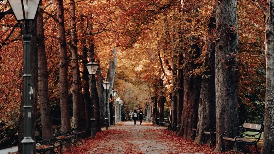 ¿Qué es el equinoccio de otoño y cuándo ocurre en México?