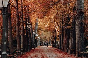 ¿Qué es el equinoccio de otoño y cuándo ocurre en México?