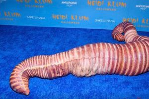 Heidi Klum: Actriz sorprendió con disfraz excéntrico