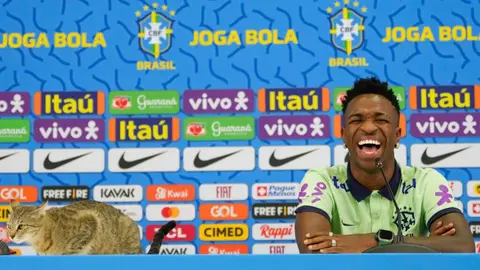 Brasil: Gato aparece en conferencia de prensa de Vinicius Jr y empleado lo baja bruscamente