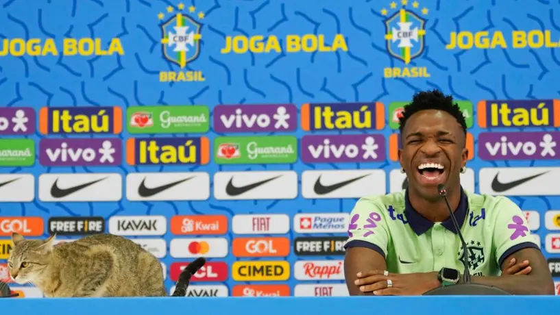 Brasil: Gato aparece en conferencia de prensa de Vinicius Jr y empleado lo baja bruscamente