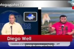 Perú: Gato cayó de un techo durante una entrevista en vivo