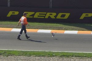 Fórmula 1: Un grupo de palomas detuvieron la Qualy del GP de Países Bajos
