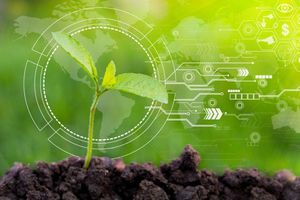 Red 5G influirá en sustentabilidad ambiental y empresarial