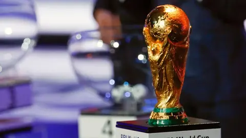 Qatar 2022:  Perros, gatos, monos, tortugas y águilas dieron su predicción para la Final del Mundial