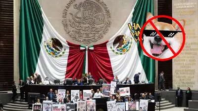 ¿Adiós a la piratería en México? Diputados aprueban reformas y abren debate por los memes